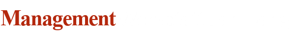 ManagementWerkstatt Jan Lang - Logo Webseite
